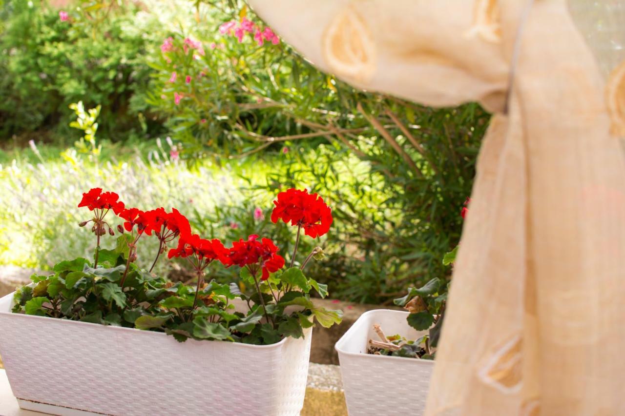 Apartment Vida - Amazing Place With Garden And Terrace Rijeka Buitenkant foto