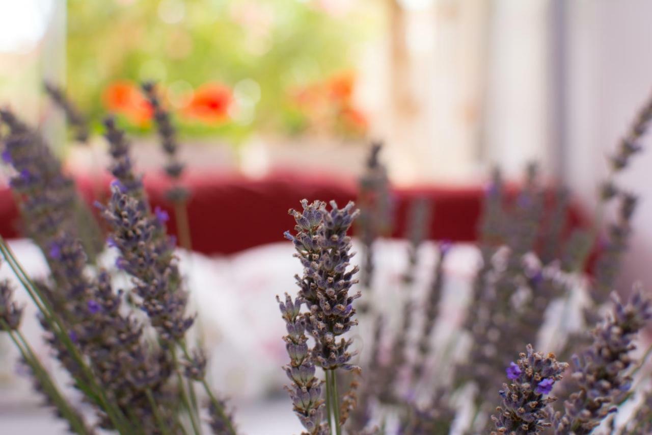 Apartment Vida - Amazing Place With Garden And Terrace Rijeka Buitenkant foto